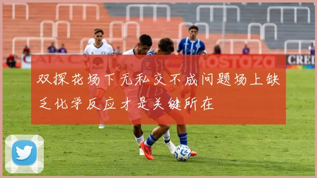 双探花场下无私交不成问题场上缺乏化学反应才是关键所在