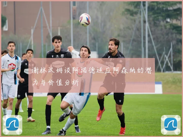 谢林汉姆谈阿诺德适应阿森纳的潜力与价值分析