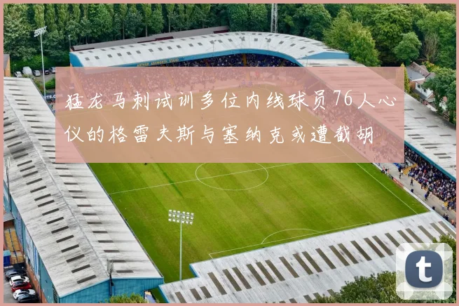 猛龙马刺试训多位内线球员76人心仪的格雷夫斯与塞纳克或遭截胡
